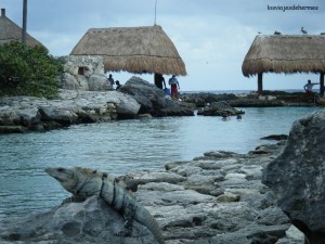 Vista en el parque Xcaret