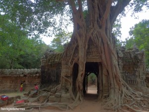 Otro detalle en Ta Som