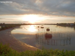 Camino hacia la playa