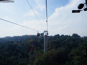 Subiendo al Monte Faber