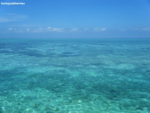Arrecife de Mabul desde la terraza común
