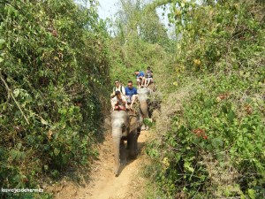 A lomos de un elefante