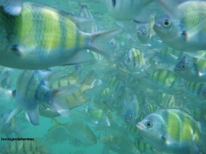 ¡Se podían hasta tocar!