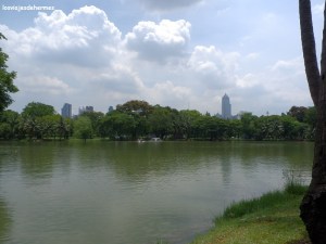 Skyline desde el parque