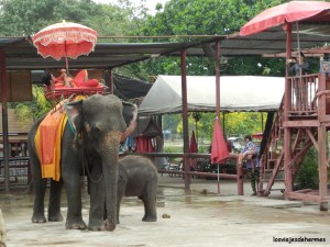 Esperando a los turistas