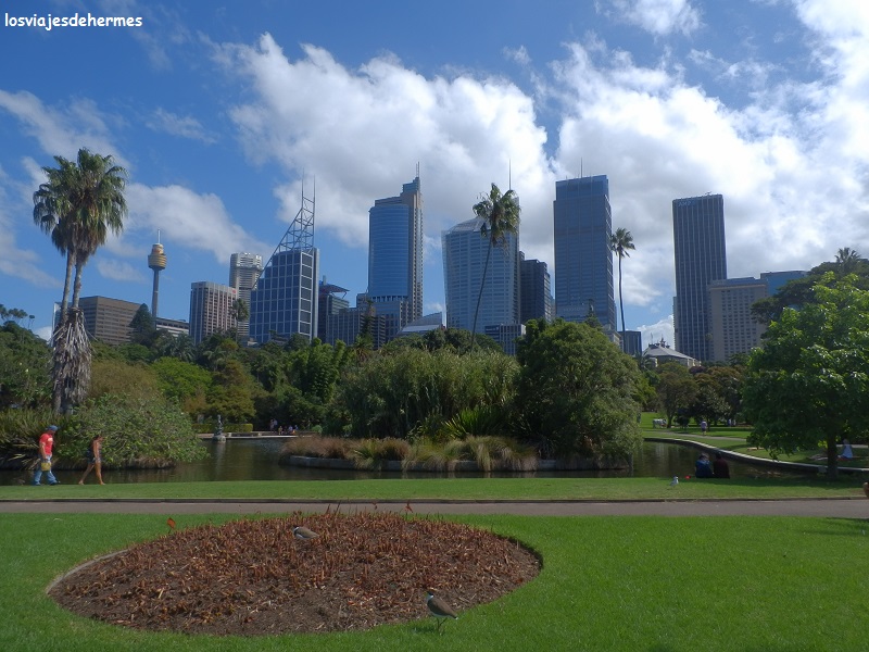 Aspecto desde el Jardín Botánico