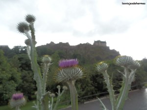 La silueta del castillo con el cardo, la flor nacional de Escocia