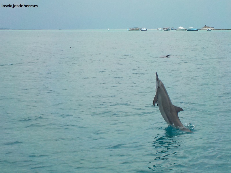 Espectacular foto de Josué en el momento oportuno