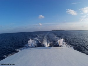 En busca de los tiburones