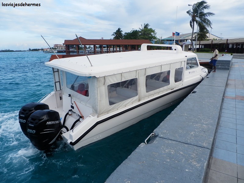 Speed boat del Plumeria
